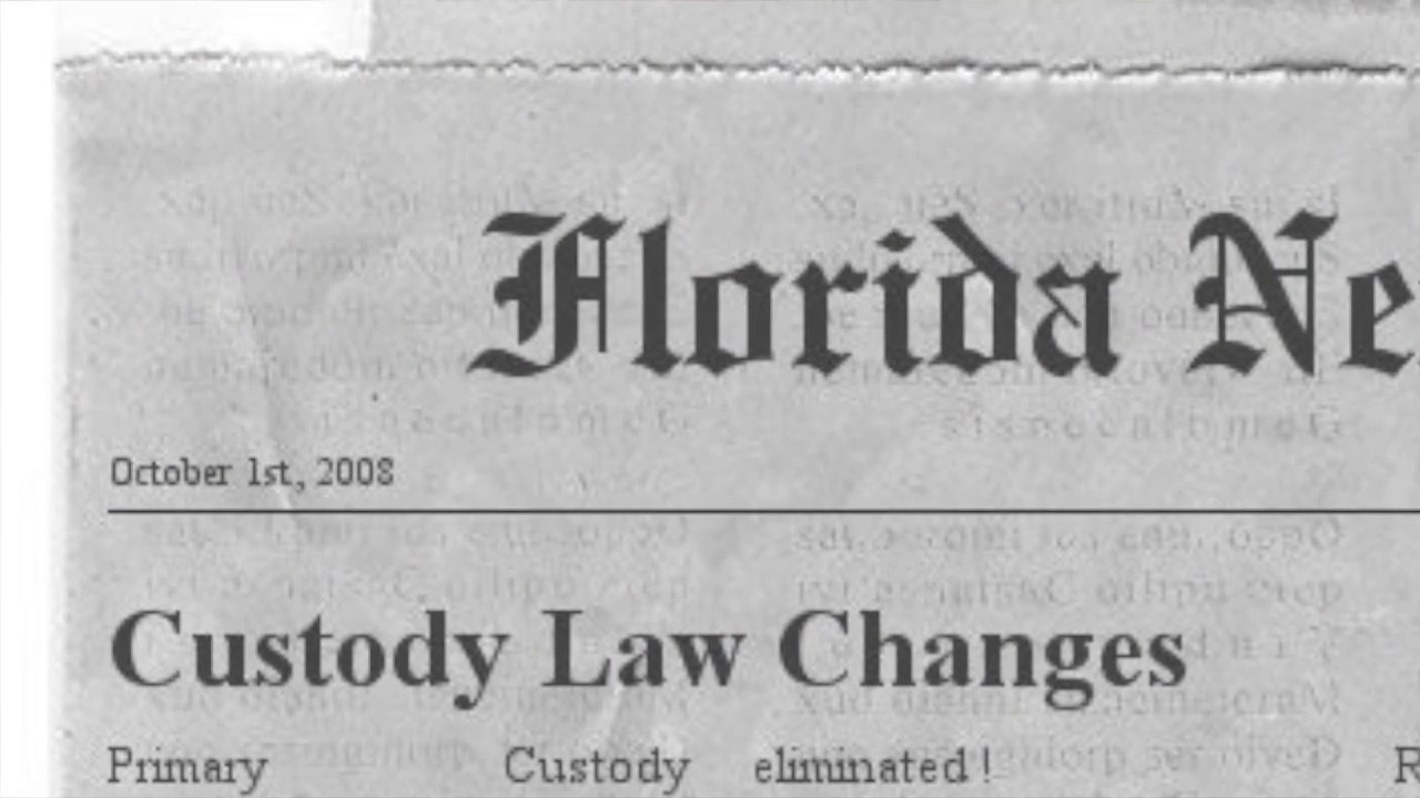 Florida Child Custody Law 225 Pages of Custody Info